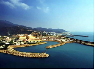 口岸通关服务(图10)